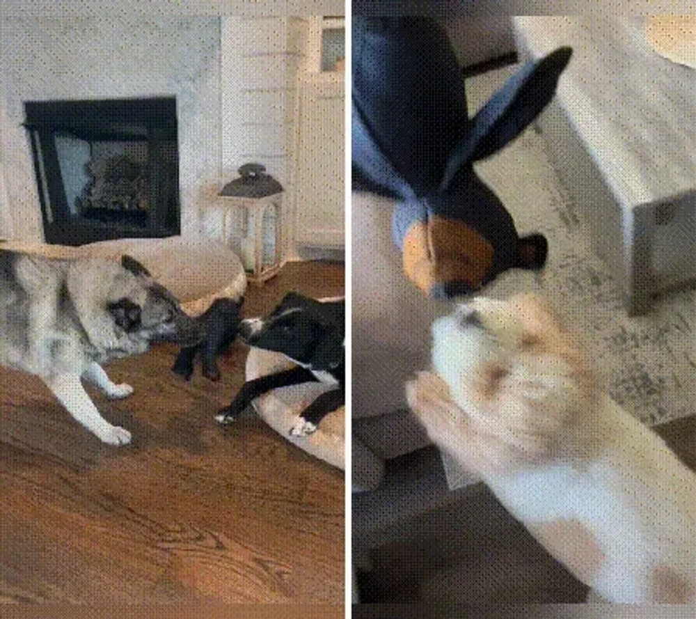 🔥Last Day 49% OFF🧸2026 New Unbreakable Bear for strong chewers